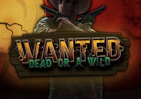 Wanted Dead Or a Wild