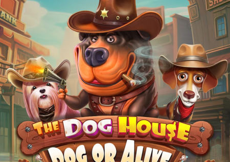 The Dog House Dog or Alive
